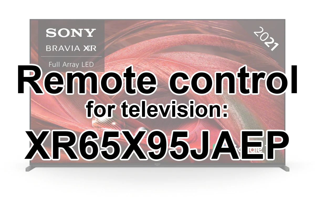 Sony XR65X95JAEP replacement remote control different look