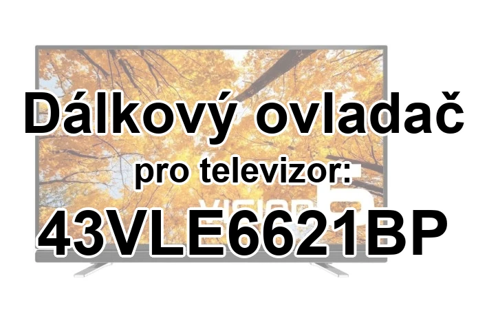 Grundig 43VLE6621BP originální dálkový ovladač