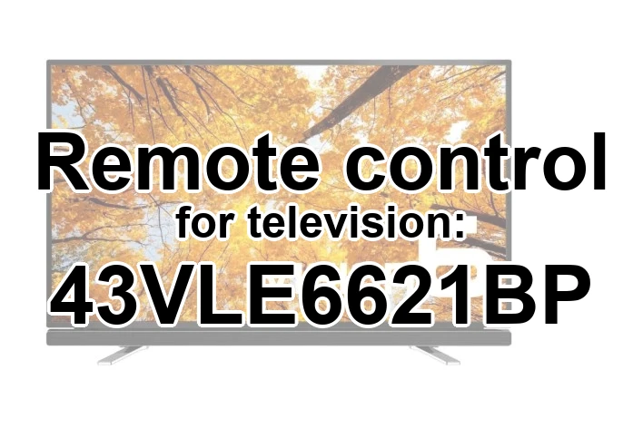 Grundig 43VLE6621BP replacement remote control for seniors