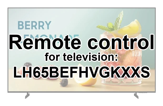 Samsung LH65BEFHVGKXXS replacement remote control for seniors